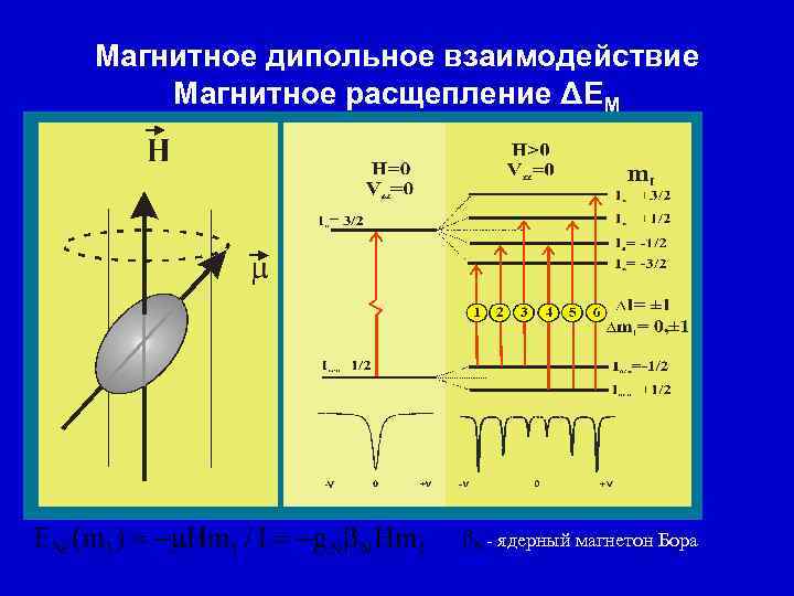 Магнитное дипольное взаимодействие Магнитное расщепление ΔЕМ - ядерный магнетон Бора 