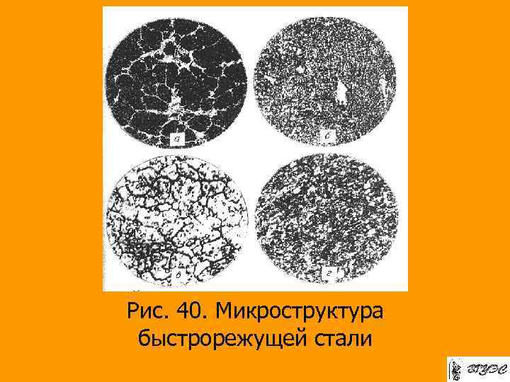Рис. 40. Микроструктура быстрорежущей стали 