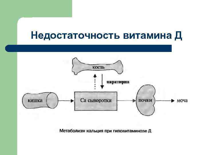 Недостаточность витамина Д 