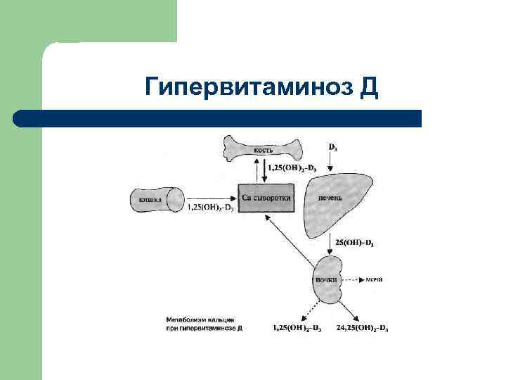 Гипервитаминоз Д 