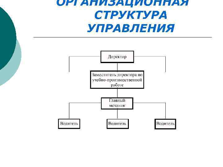 ОРГАНИЗАЦИОННАЯ СТРУКТУРА УПРАВЛЕНИЯ 