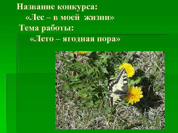 Название конкурса: «Лес – в моей жизни» Тема работы: «Лето – ягодная пора» 