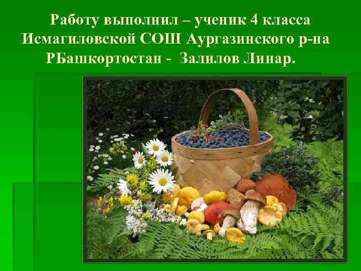 Работу выполнил – ученик 4 класса Исмагиловской СОШ Аургазинского р-на РБашкортостан - Залилов Линар.