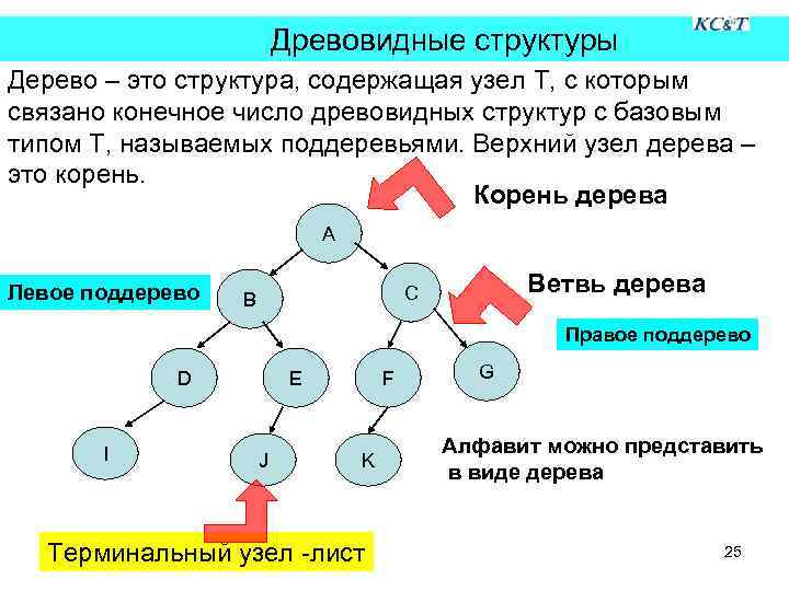 Структура содержащая. Структура дерево Информатика. Древовидная структура данных. Узлы дерева Информатика. Древовидная иерархия видов.