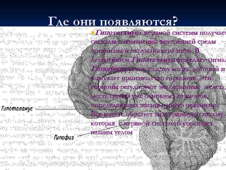 Где они появляются? n. Гипоталамус нервной системы получает от сигналы о изменении внутренней среды