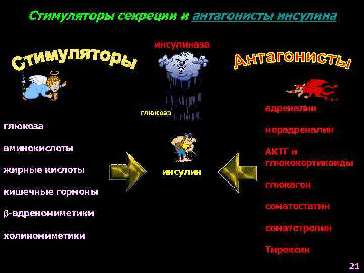 Стимуляторы секреции и антагонисты инсулиназа глюкоза адреналин глюкоза норадреналин аминокислоты АКТГ и глюкокортикоиды жирные
