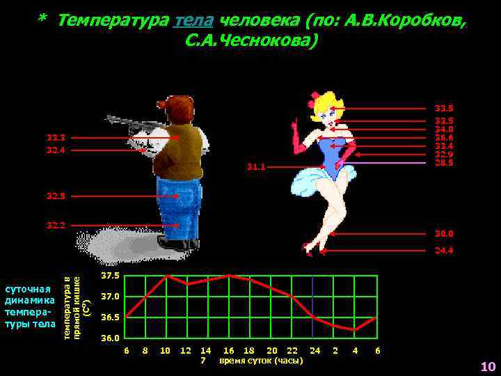 * Температура тела человека (по: А. В. Коробков, С. А. Чеснокова) 33. 5 34.
