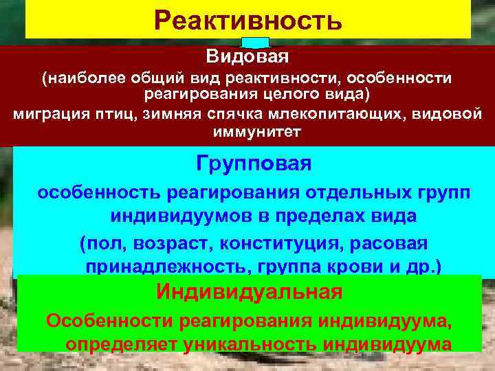 Реактивность организма картинки