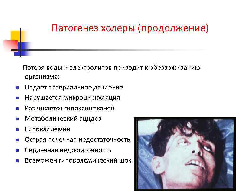 Патогенез холеры (продолжение) n n n n Потеря воды и электролитов приводит к обезвоживанию