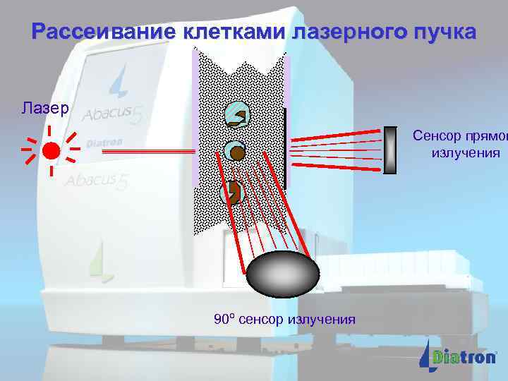 Рассеивание клетками лазерного пучка Лазер Сенсор прямог излучения 90º сенсор излучения 