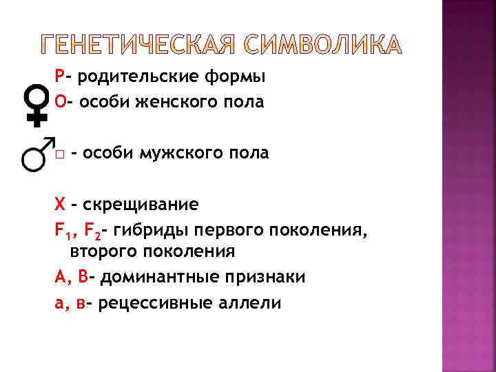 Р- родительские формы О- особи женского пола □ - особи мужского пола Х –