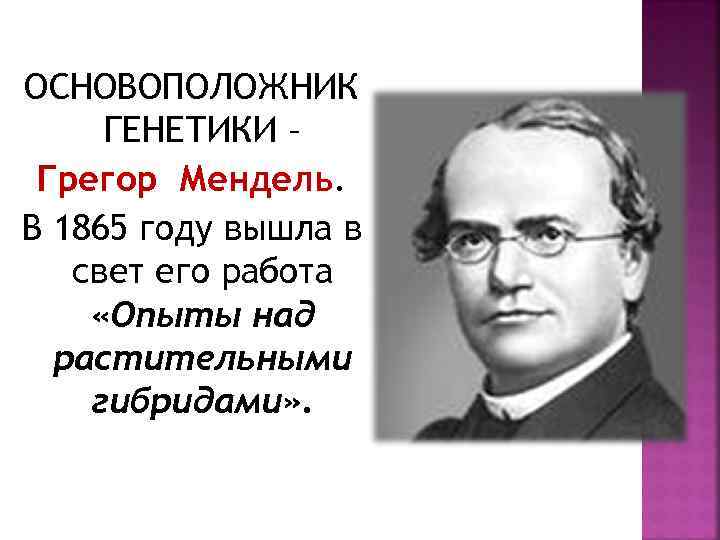 ОСНОВОПОЛОЖНИК ГЕНЕТИКИ – Грегор Мендель. В 1865 году вышла в свет его работа «Опыты