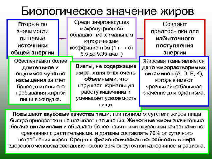 Биологическое значение жиров Вторые по значимости пищевые источники общей энергии Обеспечивают более длительное и