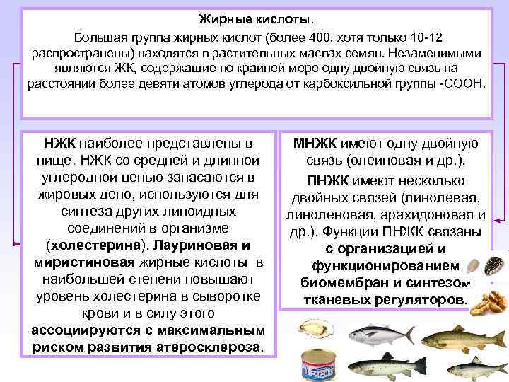 Источники насыщенных жиров рыба жирных сортов