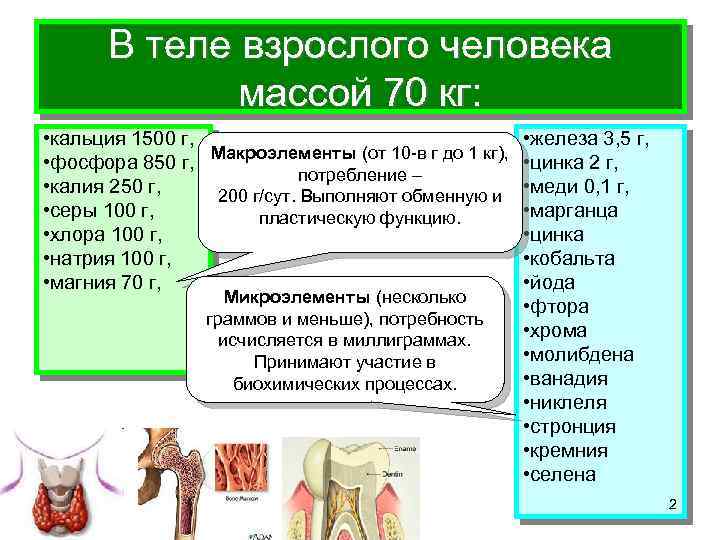 Кальций фосфор железо