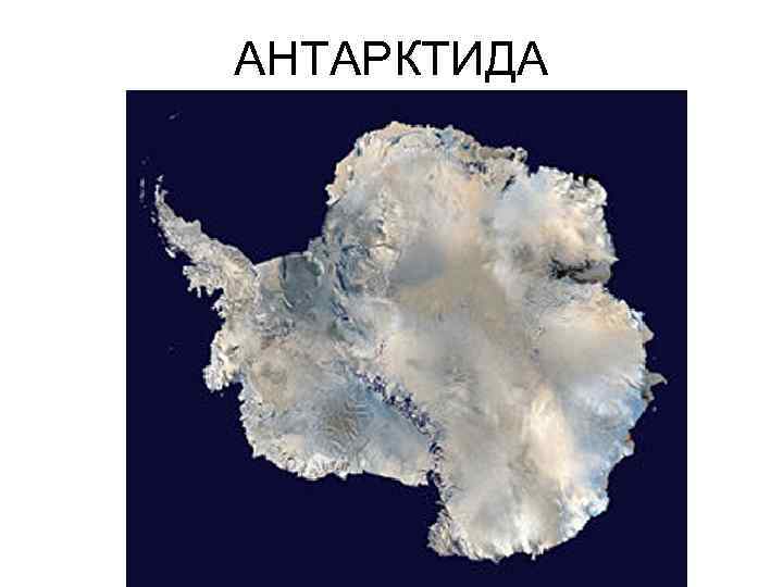 АНТАРКТИДА 
