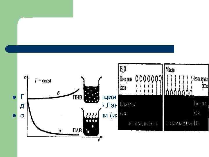 l  Поверхностная ориентация молекул ПАВ- дифильность : «частокол» Лэнгмюра l зависит от концентрации