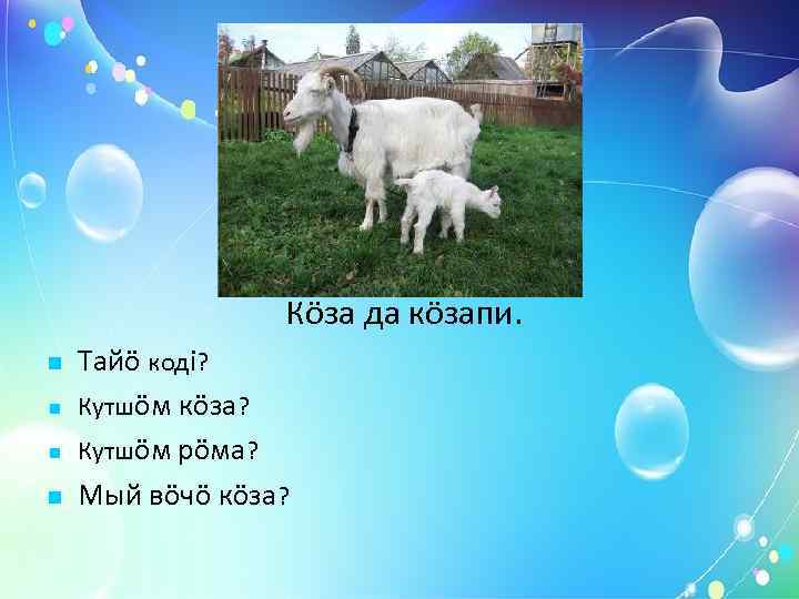    Дзодзöг да дзодзöгпи. Тайö кодi? Кутшöм дзодзöг? Кутшöм рöма? Мый вöчö