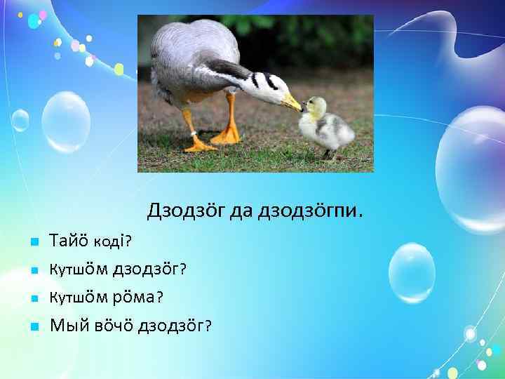   Артмöд серникузяяс. еджыд   мöс  пукалö ыджыд   кань