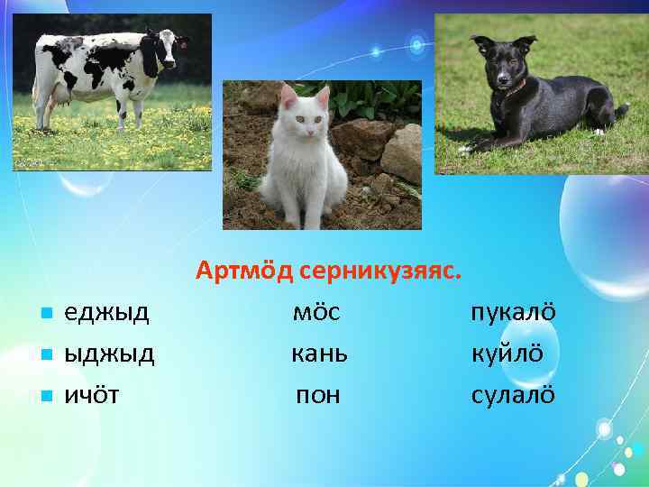    Прöверитам. Ыджыд мöс сулалö. Еджыд кань пукалö. Ичöт пон куйлö. 