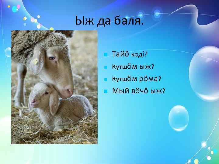     Порсь да порсьпияс. Тайö кодi? Кутшöм порсь? Кутшöм рöма? Мый