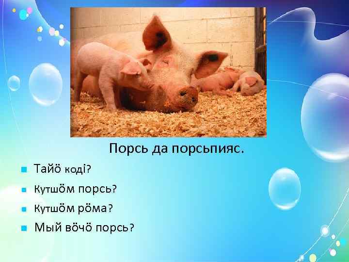    Кань да каньпи. Тайö кодi? Кутшöм кань? Кутшöм рöма? Мый вöчö