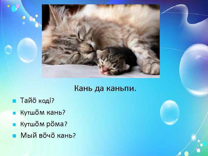     Пон да понпи. Тайö кодi? Кутшöм пон? Кутшöм рöма? Мый