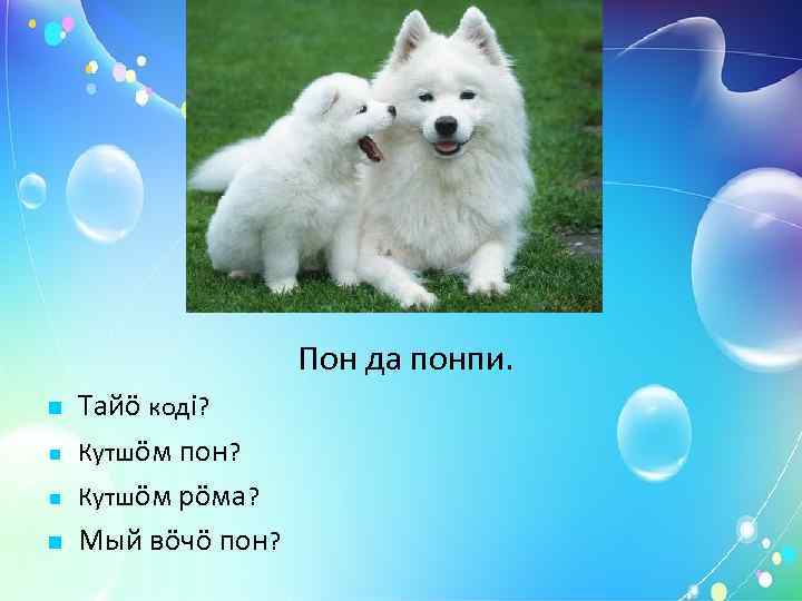     Мöс да кукань. Тайö кодi? Кутшöм мöс? Кутшöм рöма? Мый