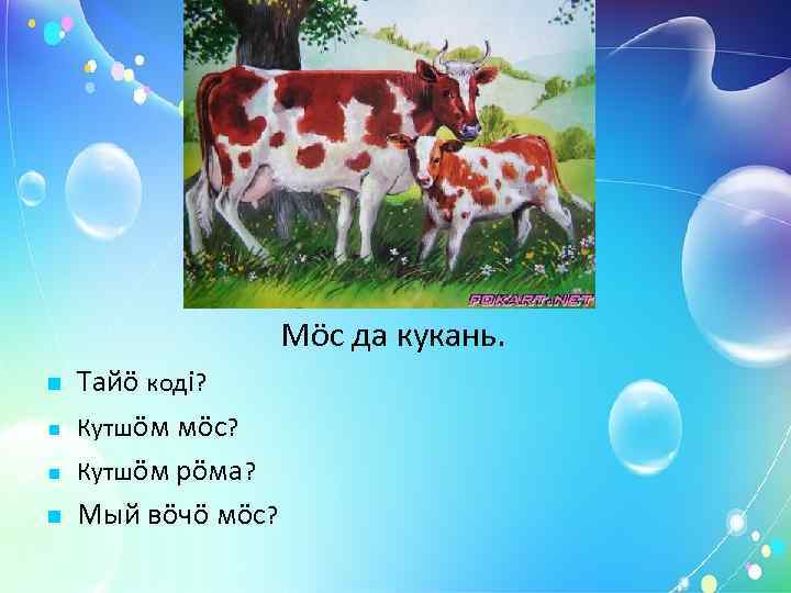     Вöв да чибö. Тайö кодi? Кутшöм вöв? Кутшöм рöма? Мый