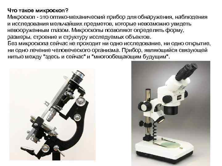 Микроскоп позволяет получить изображение