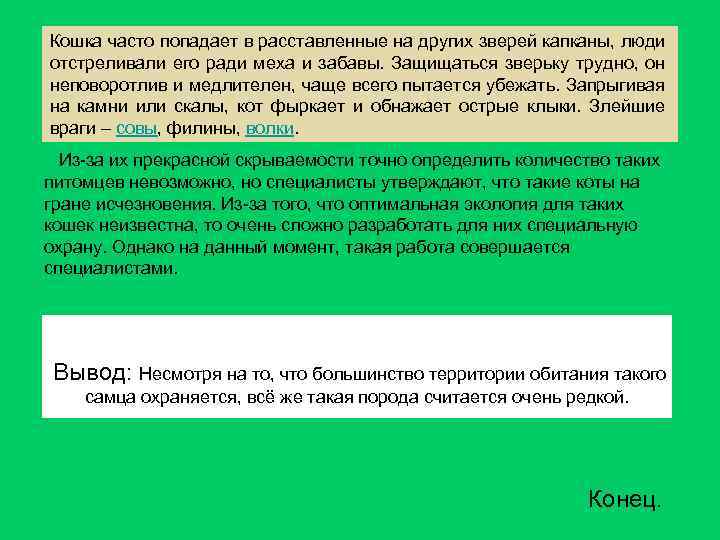 Кошка часто попадает в расставленные на других зверей капканы, люди отстреливали его ради меха