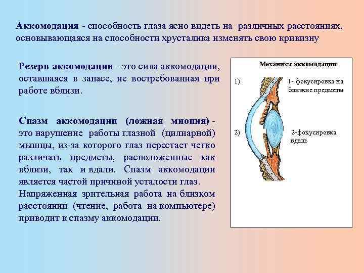 Спазм аккомодации у детей