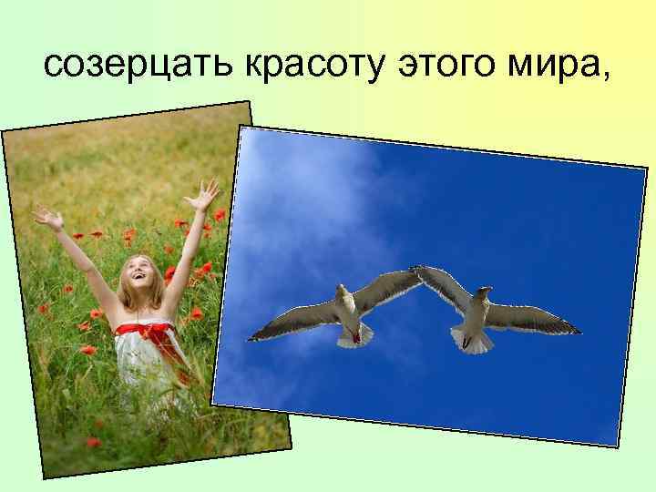 созерцать красоту этого мира, 