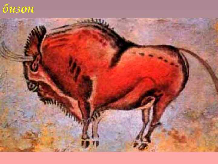 бизон 