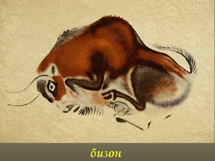 бизон 