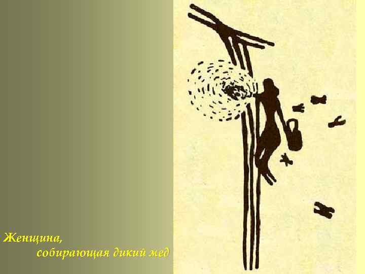 Женщина, собирающая дикий мед 