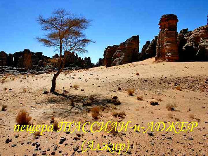 пещера ТАССИЛИ-н-АДЖЕР (Алжир) 