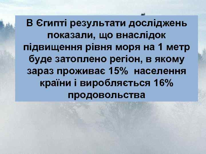 В Єгипті результати досліджень показали, що внаслідок підвищення рівня моря на 1 метр буде
