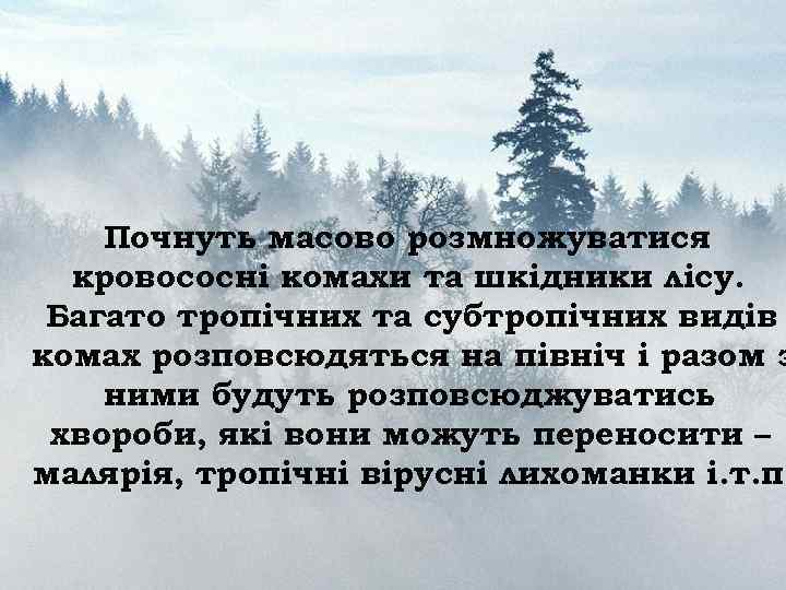 Почнуть масово розмножуватися кровососні комахи та шкідники лісу. Багато тропічних та субтропічних видів комах