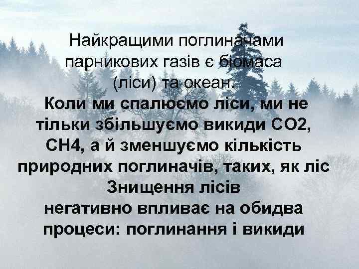 Найкращими поглиначами парникових газів є біомаса (ліси) та океан. Коли ми спалюємо ліси, ми