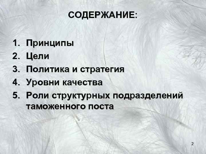 СОДЕРЖАНИЕ: 1. 2. 3. 4. 5. Принципы Цели Политика и стратегия Уровни качества Роли