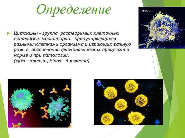 Определение Цитокины - группа растворимых клеточных пептидных медиаторов, продуцирующихся разными клетками организма и играющих