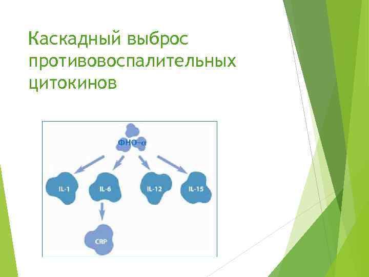 Каскадный выброс противовоспалительных цитокинов 