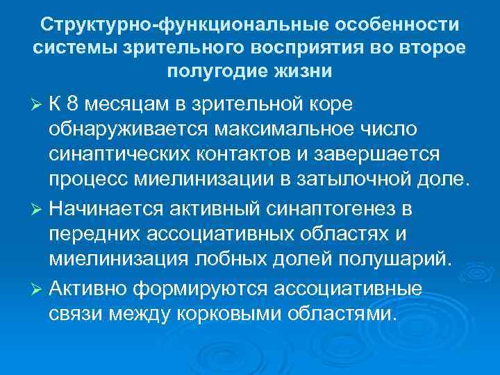 Структурно-функциональные особенности системы зрительного восприятия во второе полугодие жизни Ø К 8 месяцам в