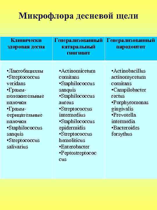 Микрофлора десневой щели Клинически здоровая десна • Лактобациллы • Streptococcus veridans • Граммположительные палочки
