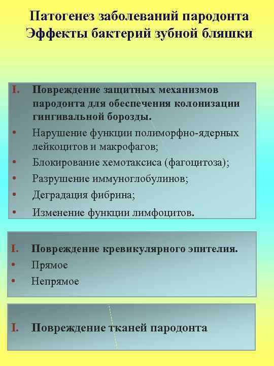 Патогенез заболеваний пародонта Эффекты бактерий зубной бляшки I. • • • Повреждение защитных механизмов