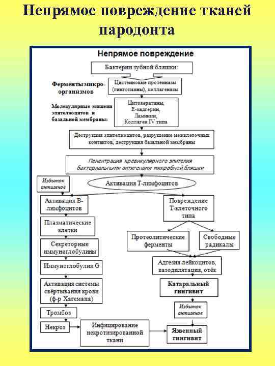 Непрямое повреждение тканей пародонта 