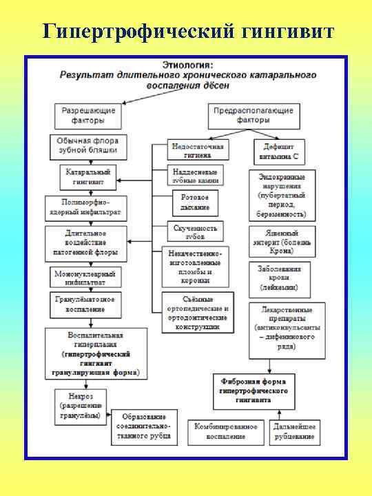  Гипертрофический гингивит 