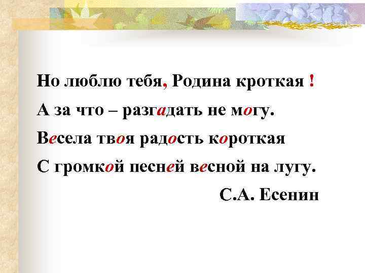 Но люблю тебя, Родина кроткая ! А за что – разгадать не могу. Весела