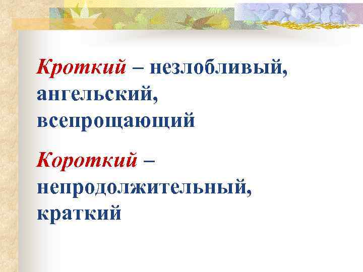 Кроткий – незлобливый, ангельский, всепрощающий Короткий – непродолжительный, краткий 